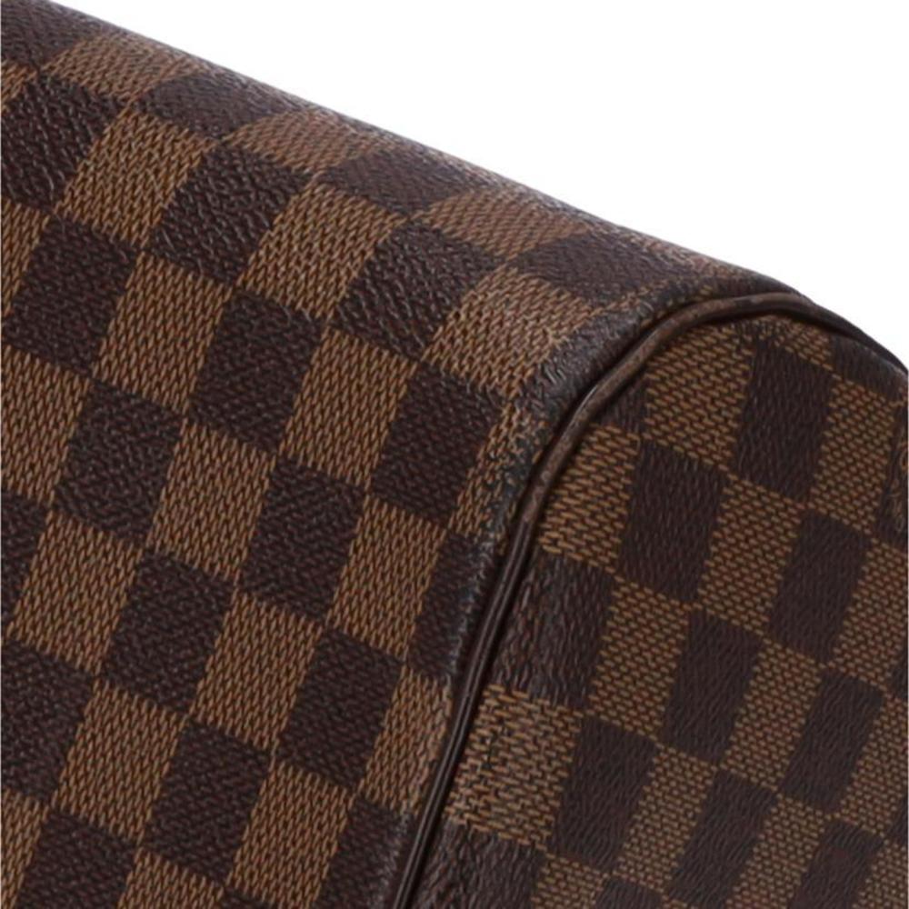 Louis Vuitton Canvas Brown Damier Bag Ribera MM